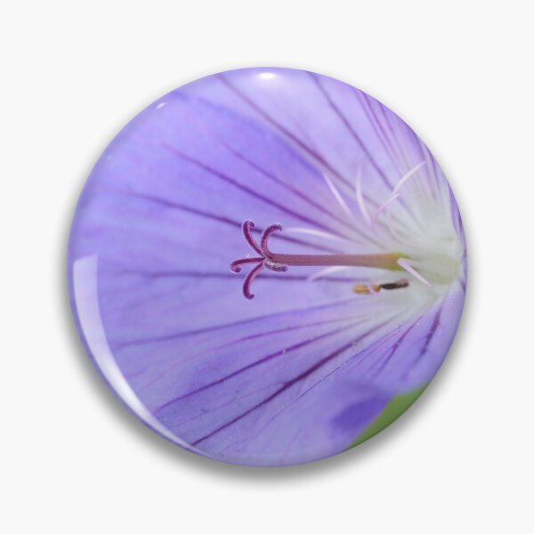 Item preview, Geranium  'Johnson's Blue'  Crane's bill	 designed and sold by Chris Burrows.