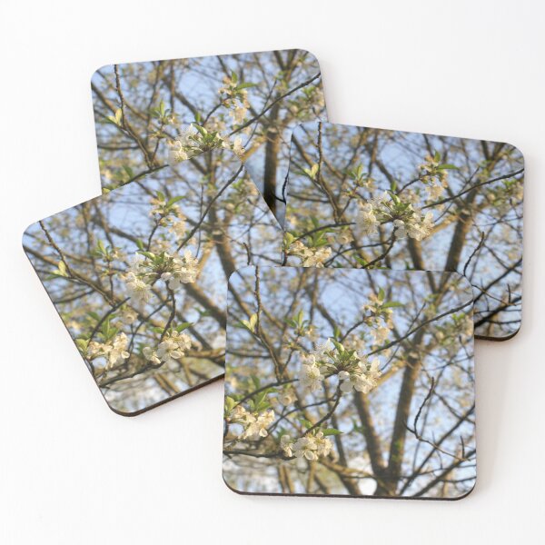 Item preview, Cherry Blossoms Photo designed and sold by Sunflower-Farms.