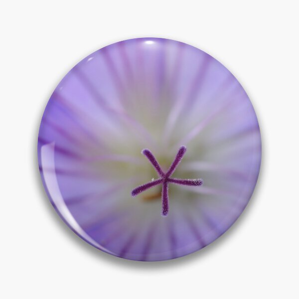Item preview, Geranium  'Johnson's Blue'  Crane's bill	 designed and sold by Chris Burrows.