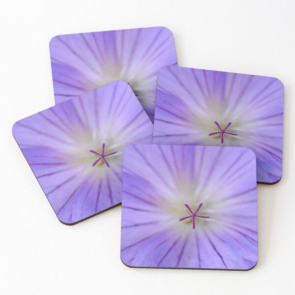 Item preview, Geranium  'Johnson's Blue'  Crane's bill	 designed and sold by Chris Burrows.
