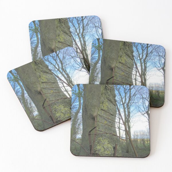 Item preview, Ladder In A Tree designed and sold by Andrew Morrell.