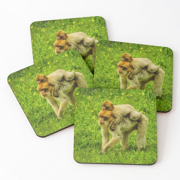 Item preview, A little monkey with its mother designed and sold by ToniStauche.