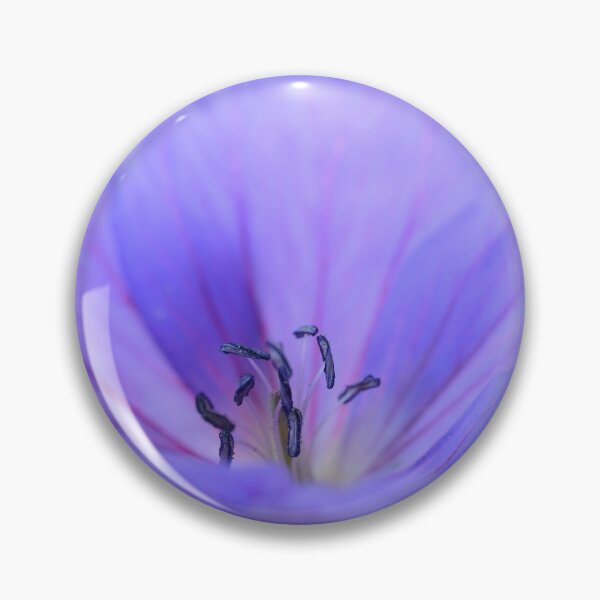 Item preview, Geranium  'Johnson's Blue'  Crane's bill	 designed and sold by Chris Burrows.