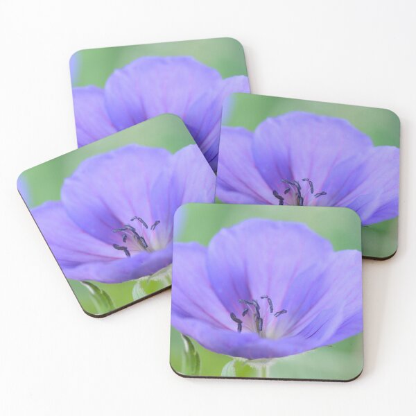 Item preview, Geranium  'Johnson's Blue'  Crane's bill	 designed and sold by Chris Burrows.
