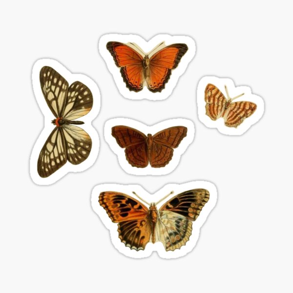 butterfly bundle Sticker