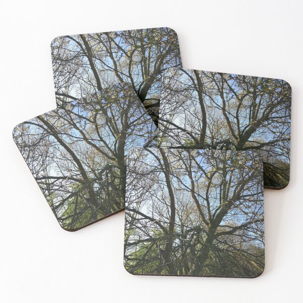 Item preview, Jumbled branches 1, Hob Moor, York designed and sold by paulboizot.
