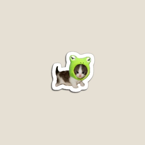 baby cat with frog hat Magnet