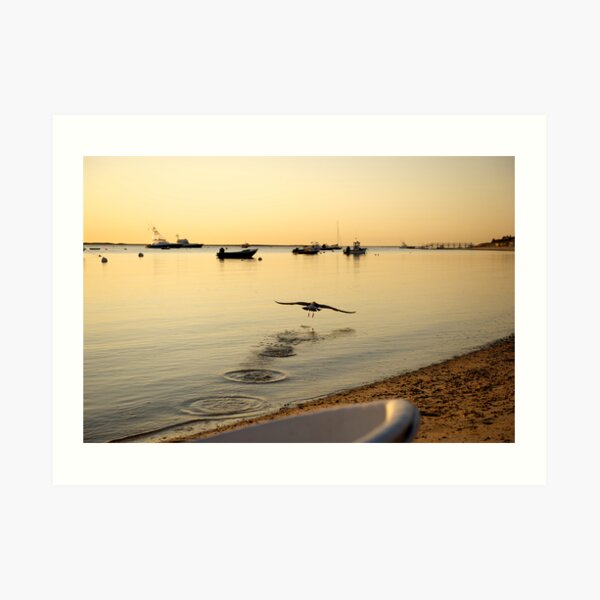 Take Off Art Print