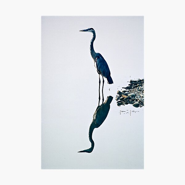 Serenity Photographic Print