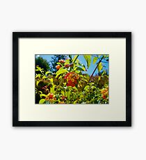 Flowers Framed Print