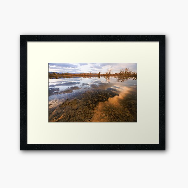 Transparent As Glass Framed Art Print