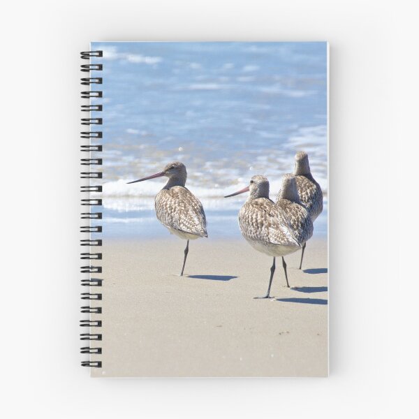 Item preview, SHOREBIRD ~ Bar-tailed Godwit deSUpkmz by David Irwin designed and sold by tasmanianartist.