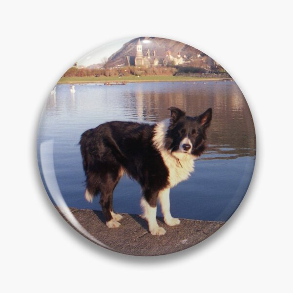 Item preview, Indy at the boating pond designed and sold by Michael Haslam.