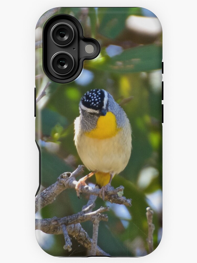 Thumbnail 1 of 4, iPhone Case, PARDALOTE ~ Spotted Pardalote gaHb8F7Y by David Irwin designed and sold by tasmanianartist.