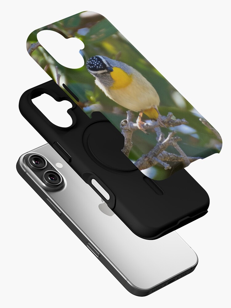 Thumbnail 2 of 4, iPhone Case, PARDALOTE ~ Spotted Pardalote gaHb8F7Y by David Irwin designed and sold by tasmanianartist.