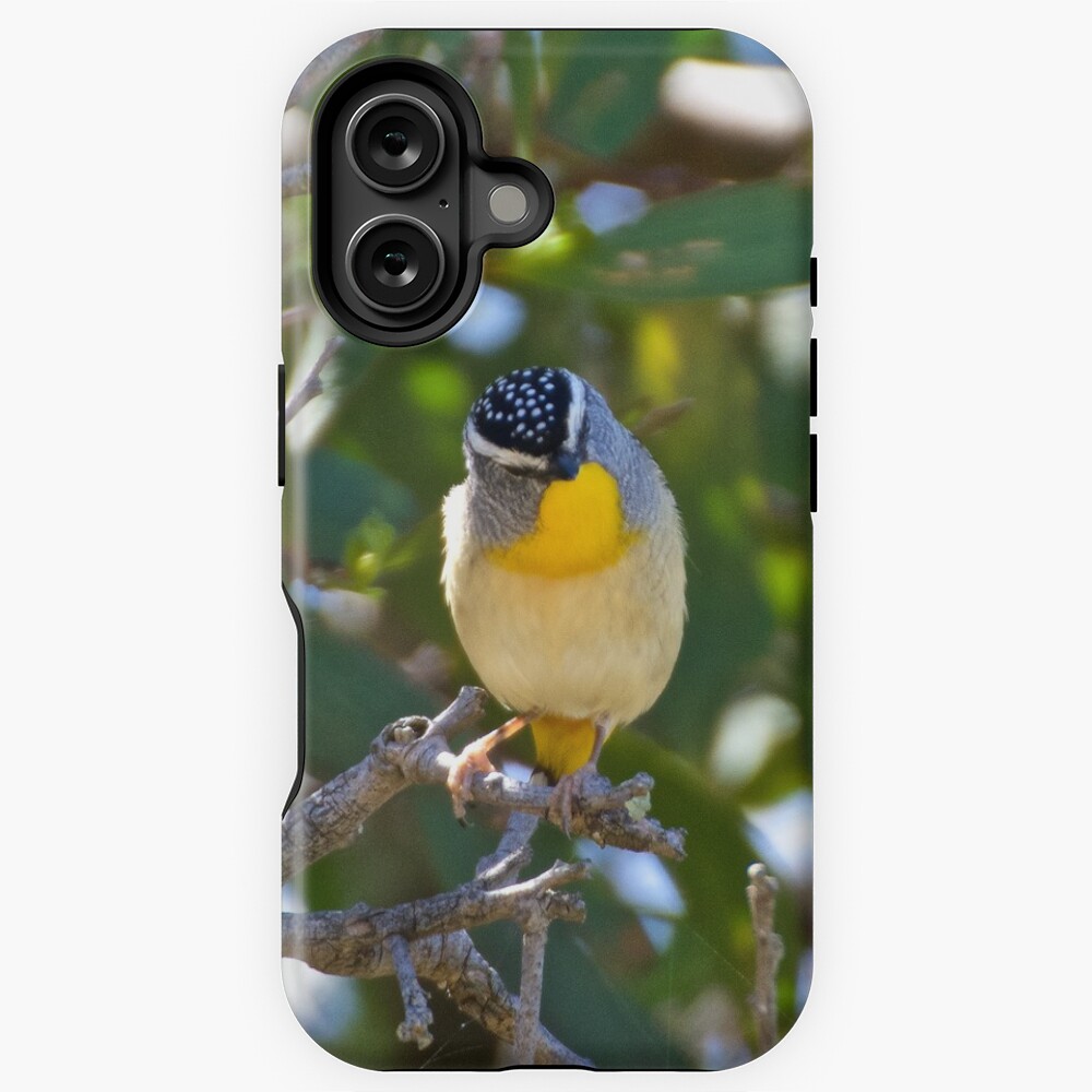 Item preview, iPhone Magsafe Tough Case designed and sold by tasmanianartist.