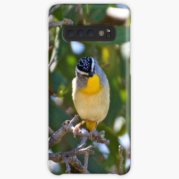 Spotted Pardalote Samsung Galaxy Snap Case