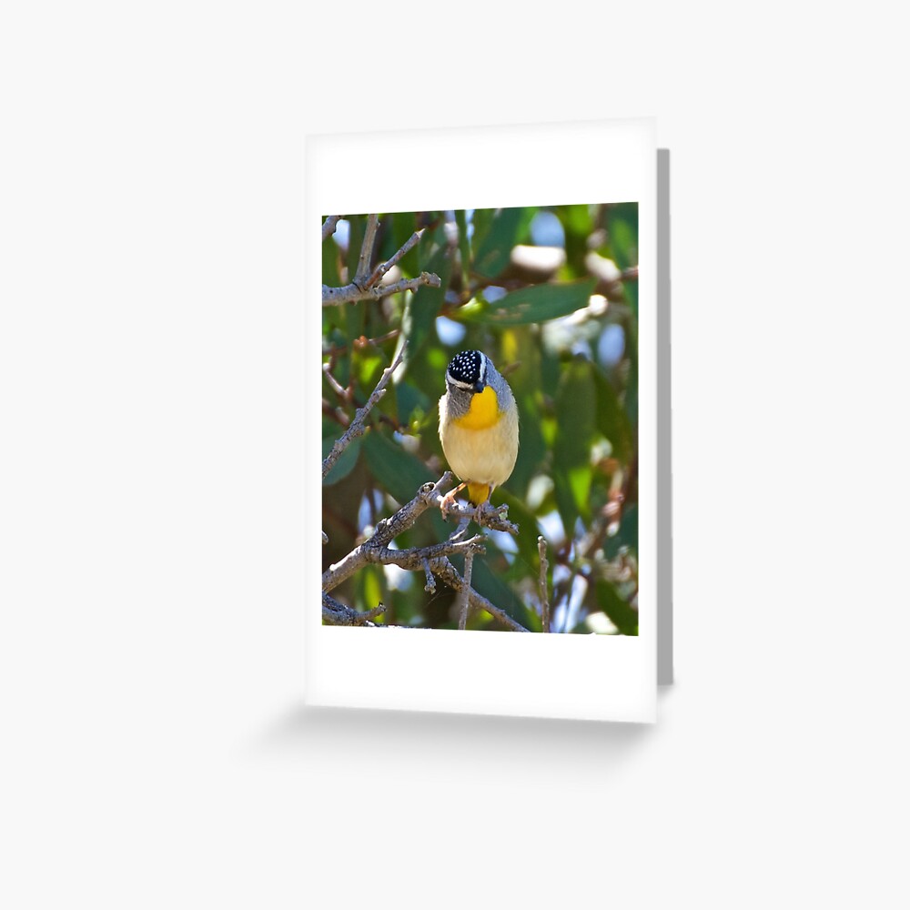 Item preview, Greeting Card designed and sold by tasmanianartist.