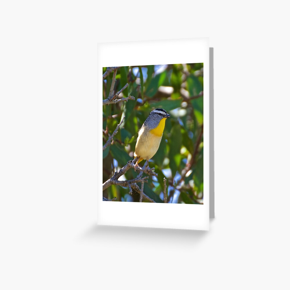 Item preview, Greeting Card designed and sold by tasmanianartist.