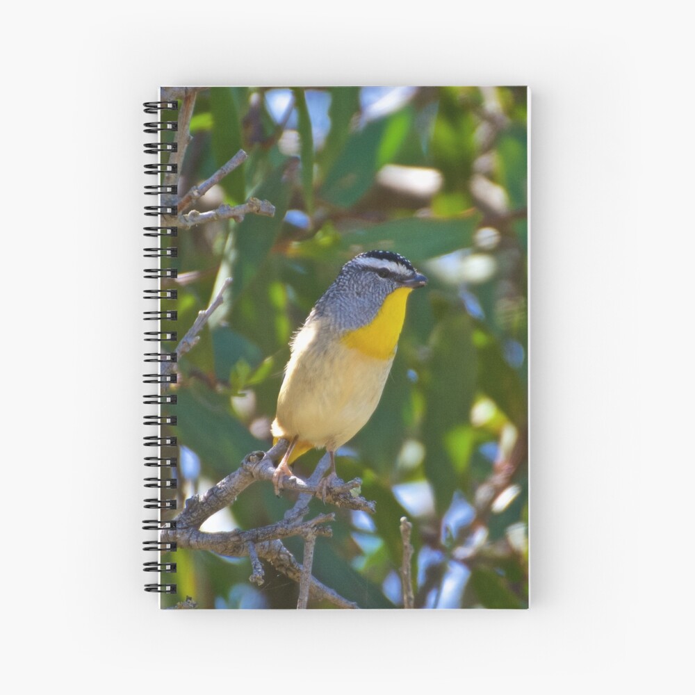 Item preview, Spiral Notebook designed and sold by tasmanianartist.