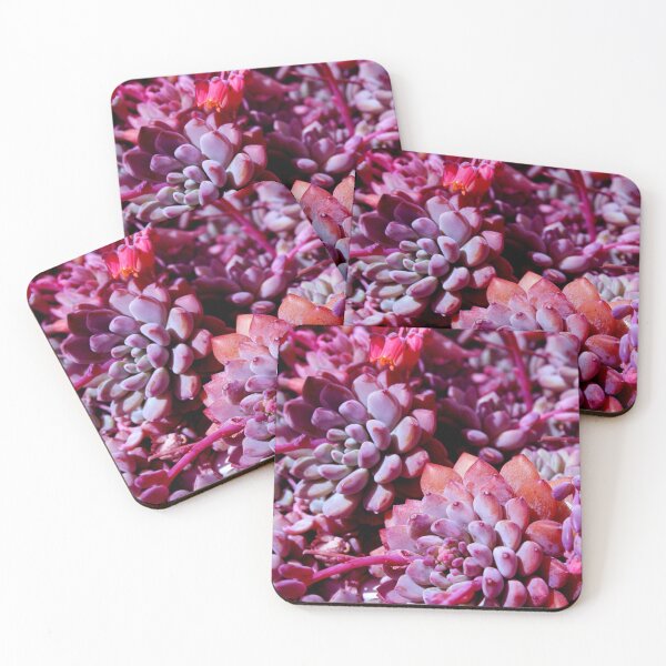 Item preview, cactus flowers designed and sold by andreafs.