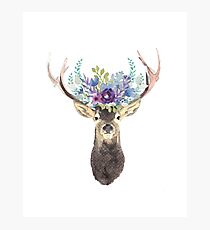Deer with flower crown Photographic Print
