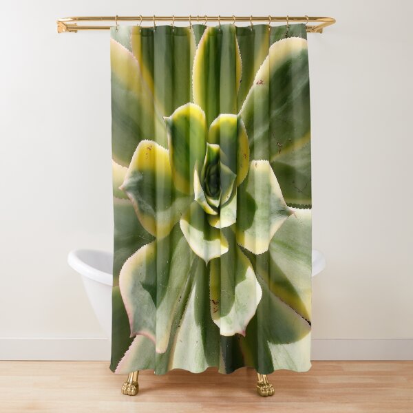 Echeveria In The Sun Shower Curtain