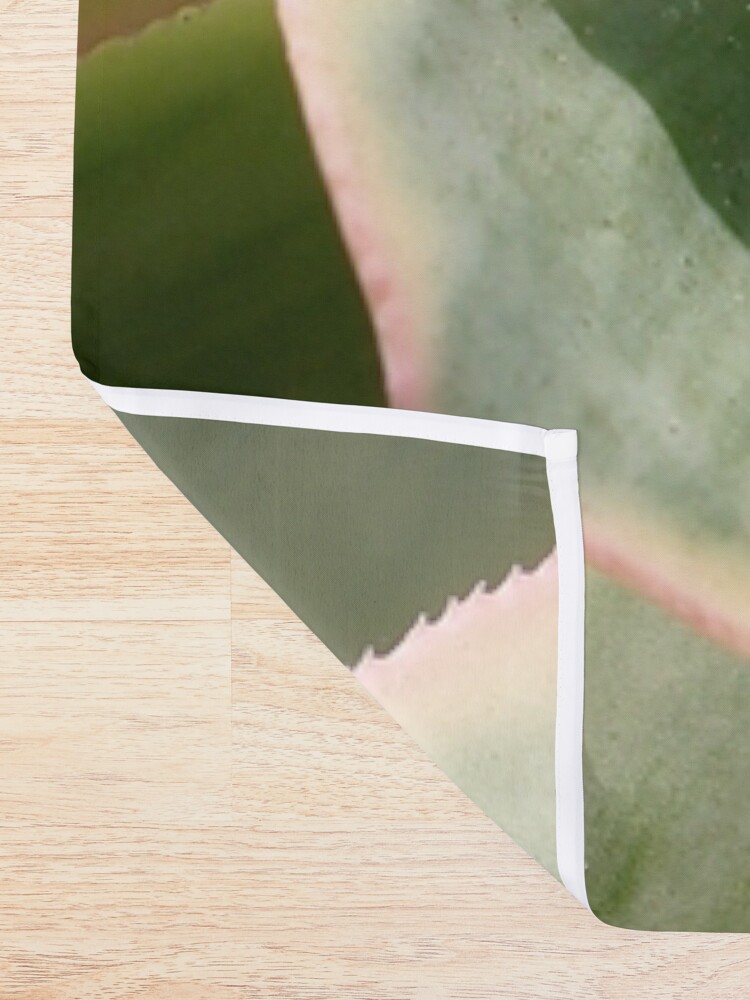 Alternate view of Echeveria In The Sun Shower Curtain