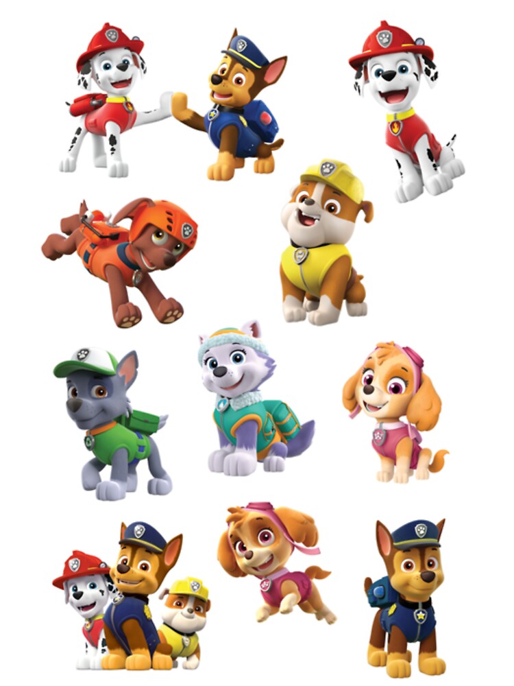 paw patrol team cartoon