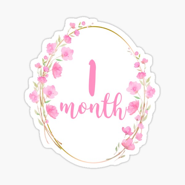  Baby Monthly Stickers, Floral Baby Milestone Stickers, Newborn Girl Stickers, Month Stickers for Baby Girl, Baby Girl Stickers