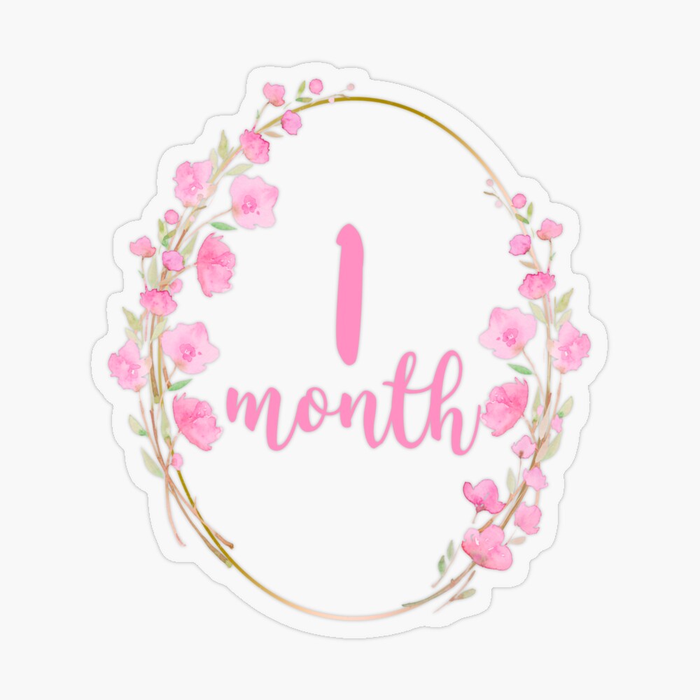 FREE GIFTS Baby Girl Month Stickers, Monthly Baby Stickers, Floral,  Flowers, Watercolor Gold Baby Newborn Photo Prop Made in USA 