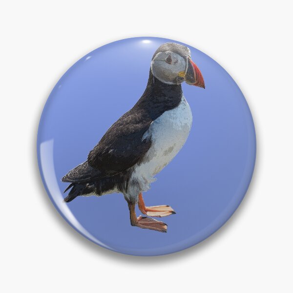 Item preview,  Atlantic Puffin Color Print  designed and sold by designsasstultd.