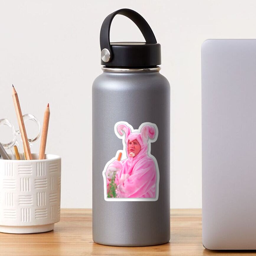 chandler bing rabbit