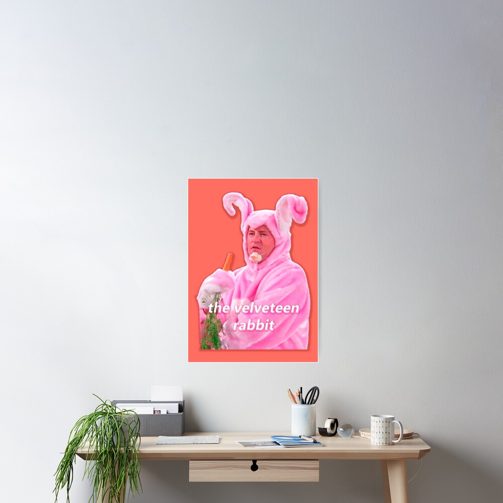 chandler bing rabbit