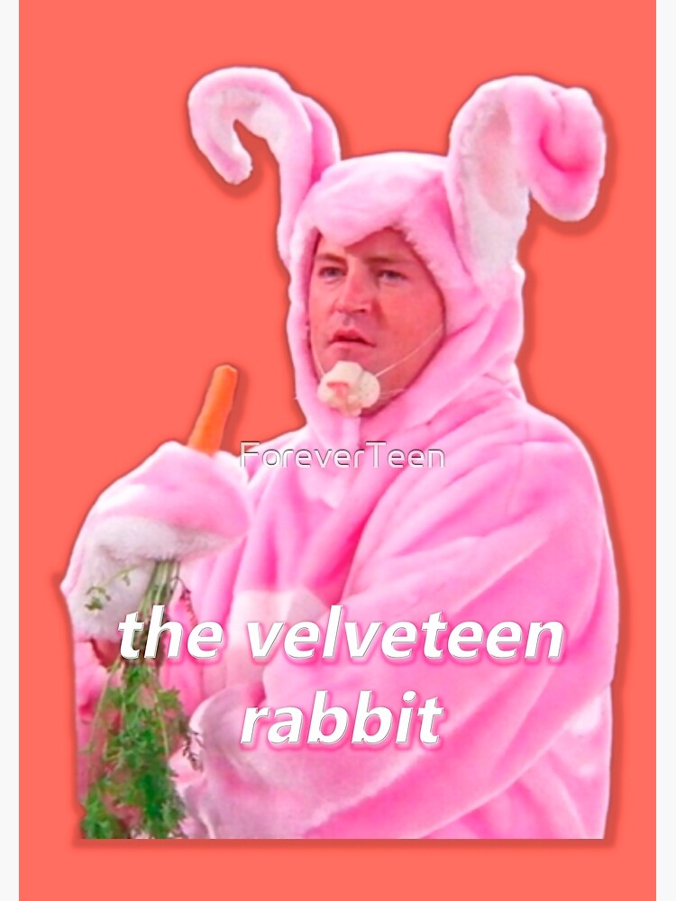 chandler bing rabbit