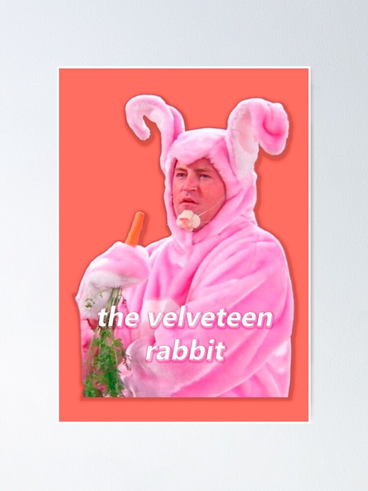 chandler bing rabbit