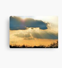 Sunshine On My Shoulders Canvas Print