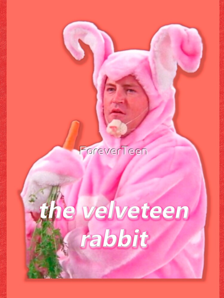 chandler bing rabbit costume
