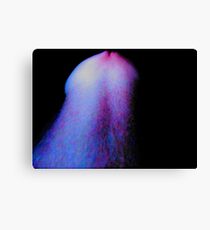 Exotic fruit 1b Canvas Print
