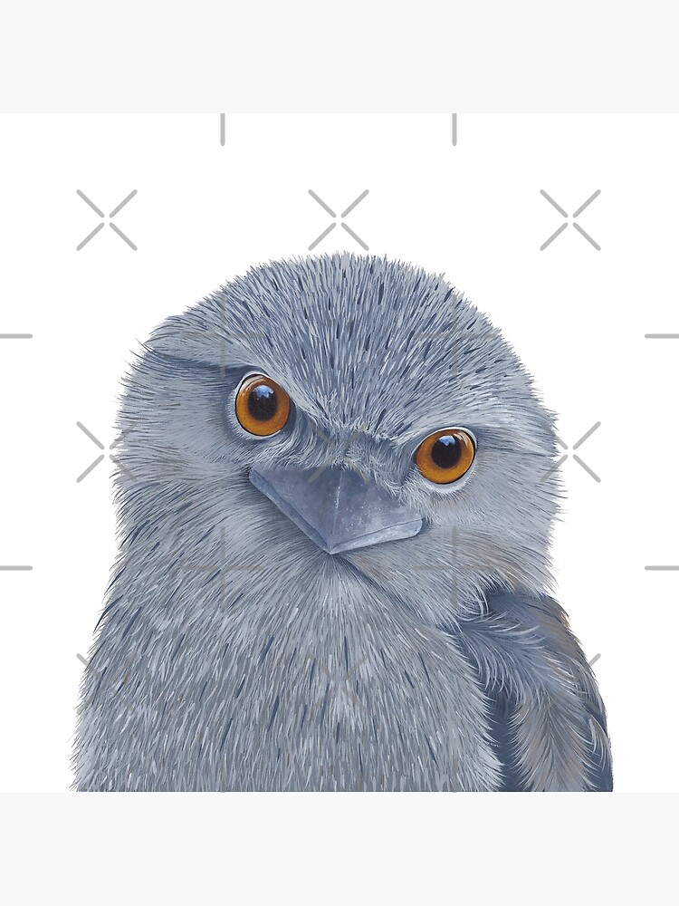 Thumbnail 3 of 3, Throw Pillow, Tawny Frogmouth designed and sold by Nicole Grimm-Hewitt.