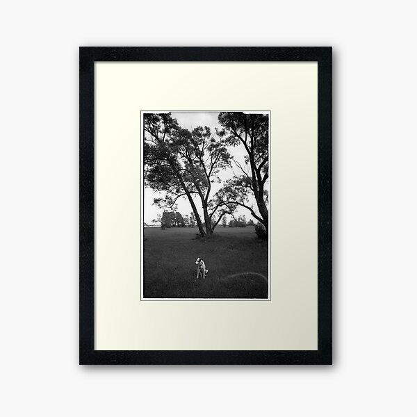 Dog in the park Framed Art Print