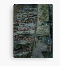 Stairs and Moss Combine to Make One Canvas Print