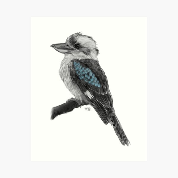 Item preview, Kookaburra designed and sold by TeaAndMisery.