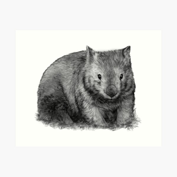 Item preview, Wombat designed and sold by TeaAndMisery.