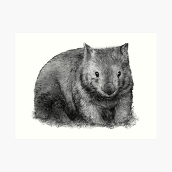 Wombat Art Print