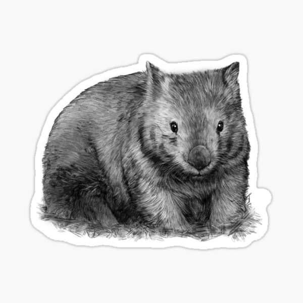 wombat apple laptop sticker