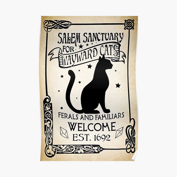 Black Cat Salem Poster