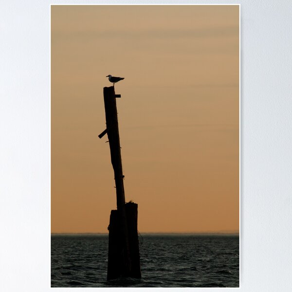 Item preview, The Sentinel designed and sold by Dale Lockwood.