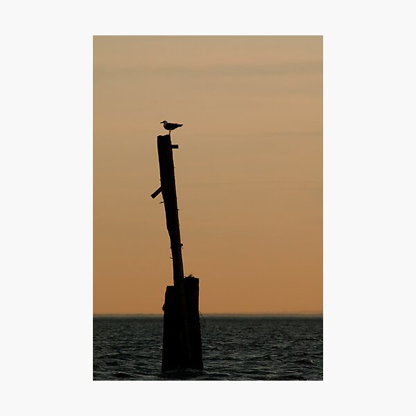 Item preview, The Sentinel designed and sold by Dale Lockwood.