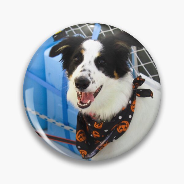 Item preview, Skipper Happy for Fall designed and sold by banditandkoko.